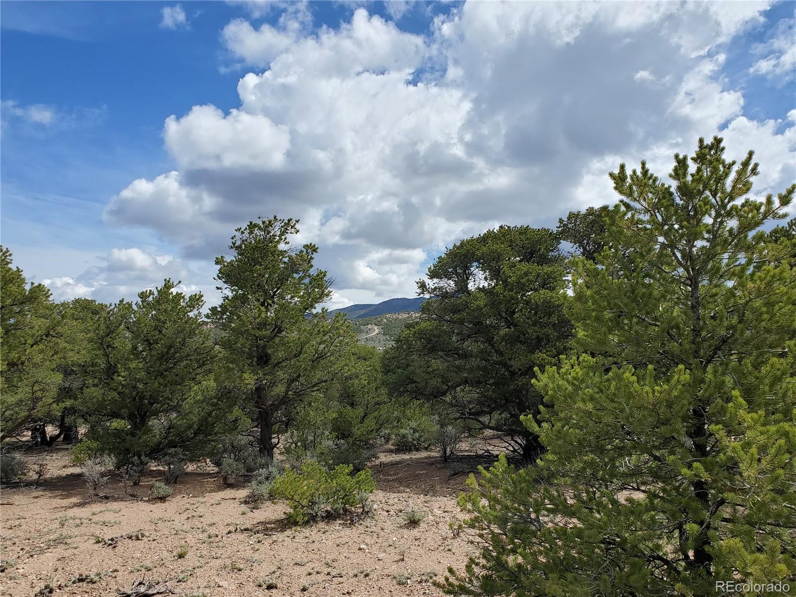 1850 Kelly Road Fort Garland, CO 81133 - Photo 7 of 15 Gallery Image 7