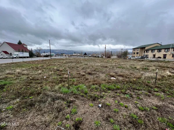 a view of a dry yard with lots of green space