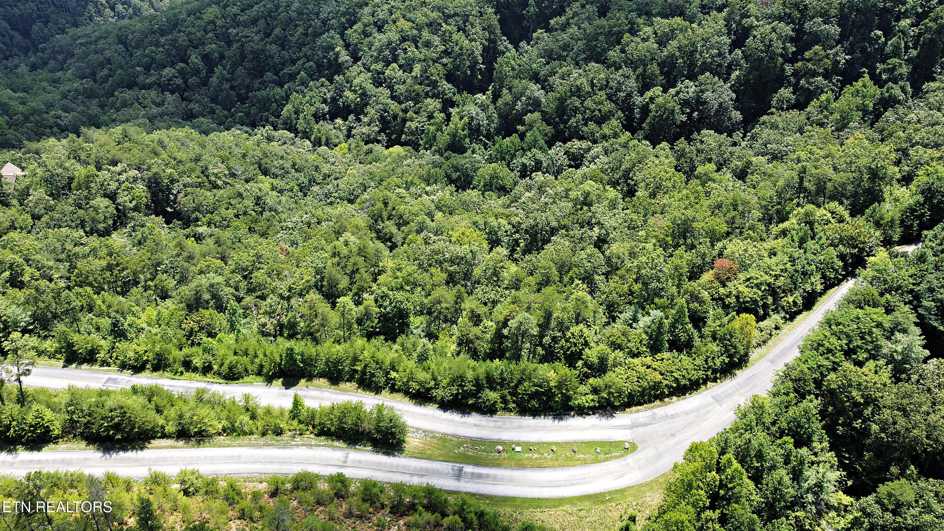 0 Flintlock Lane Sevierville, TN 37862 - Photo 8 of 9 DJI_0891