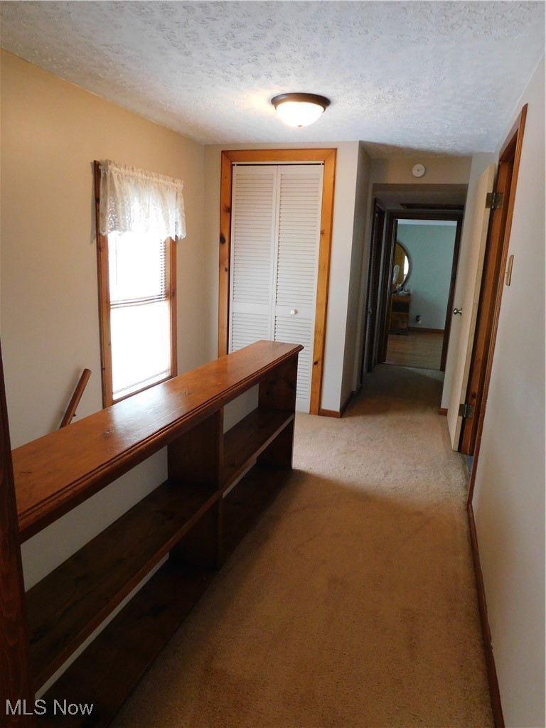 3470 County Line Road Madison, OH 44057 - Photo 31 of 48 Hallway with built in shelving