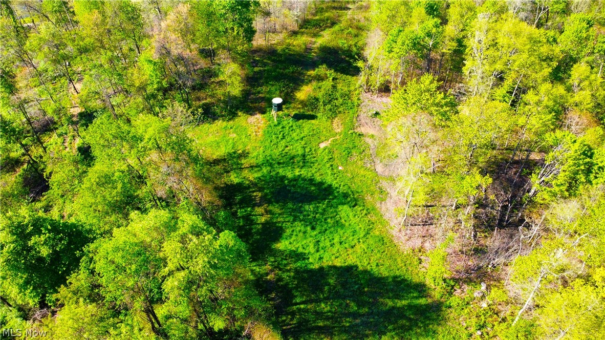 Patton Road Jewett, OH 43986 - Photo 4 of 42