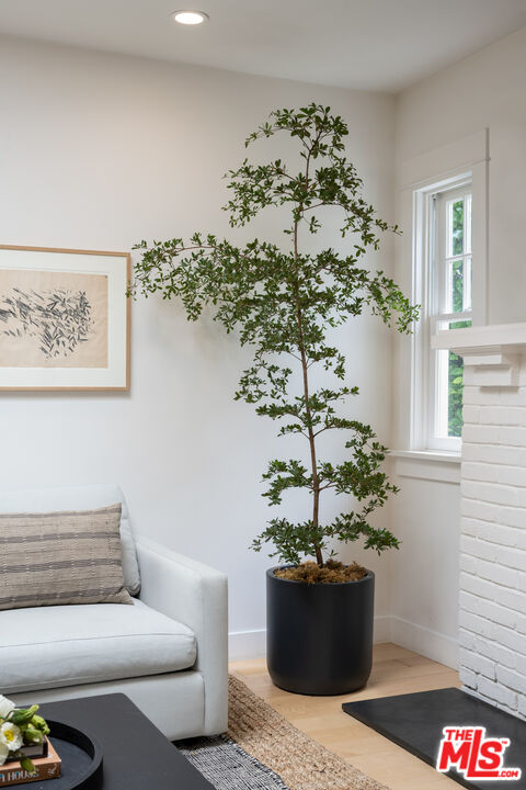 525 Rialto Avenue Venice, CA 90291 - Photo 8 of 18 Gallery Image 8