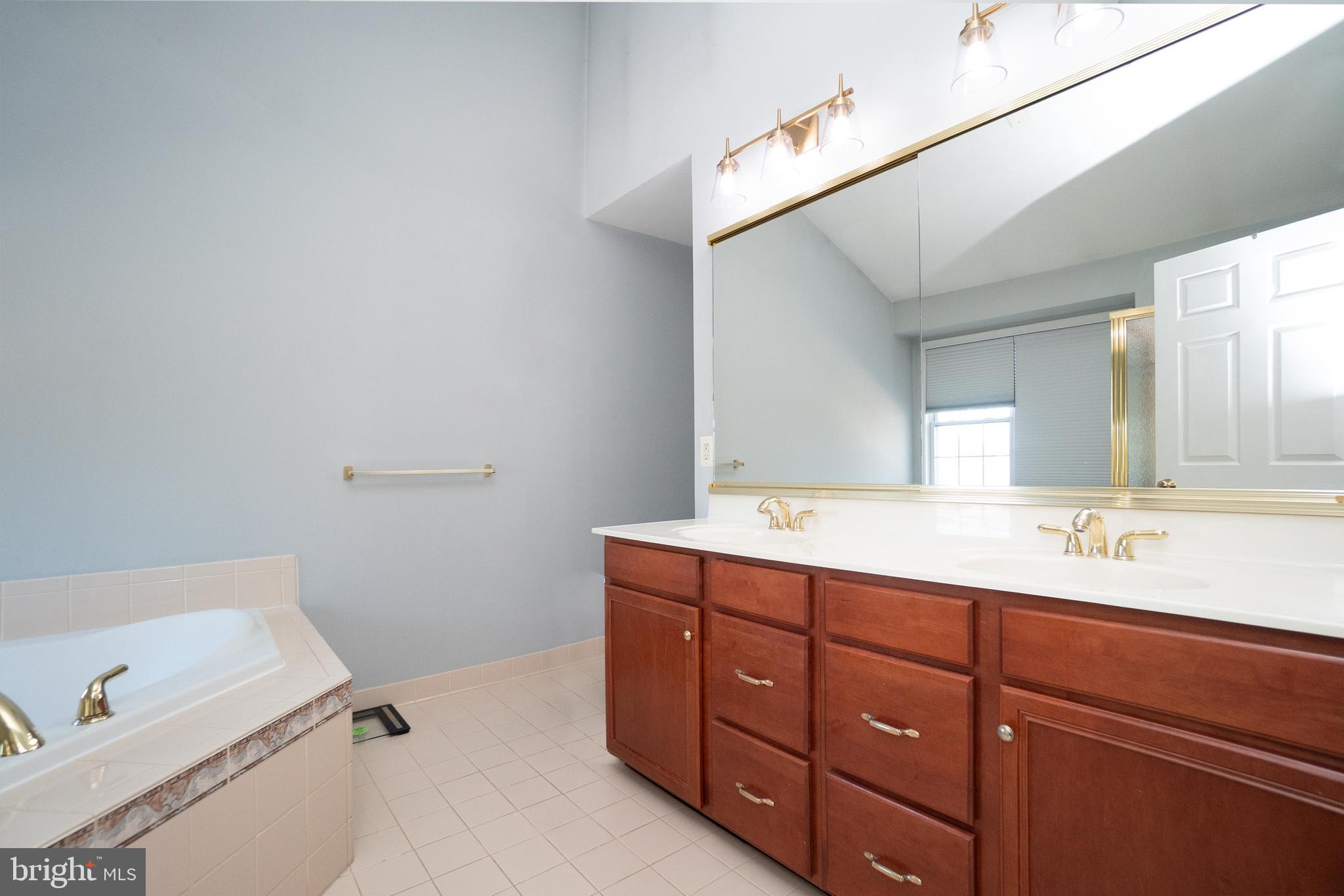 5603 Wheelwright Way Haymarket, VA 20169 - Photo 25 of 65 Primary Bath