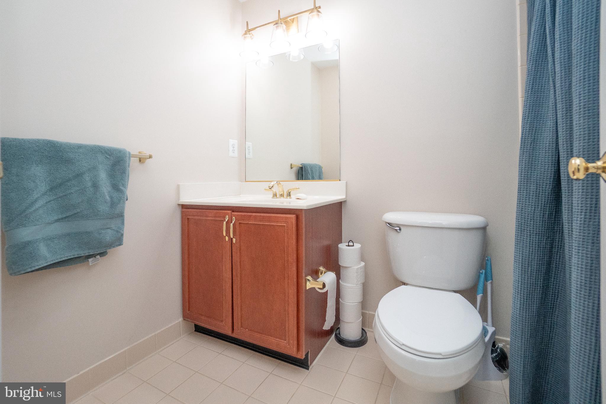 5603 Wheelwright Way Haymarket, VA 20169 - Photo 39 of 65 Lower Level Bath