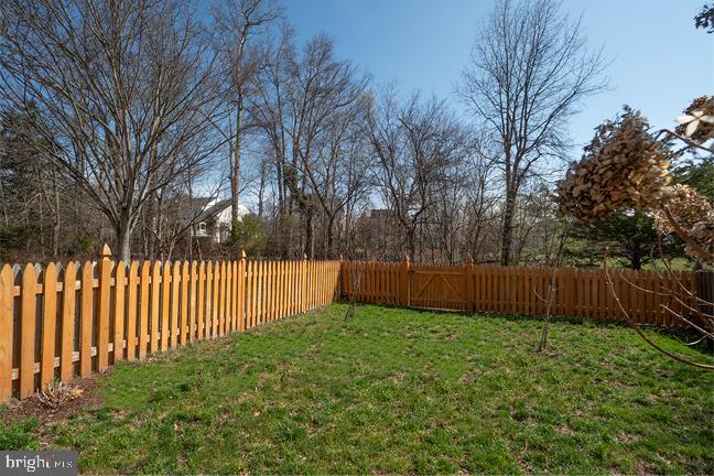 5603 Wheelwright Way Haymarket, VA 20169 - Photo 44 of 65 Backyard