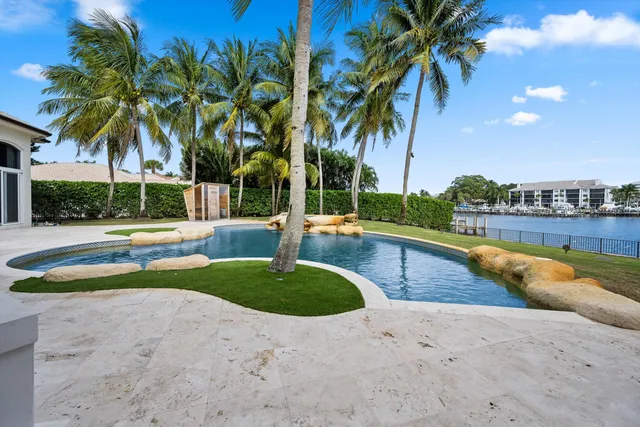 a view of a swimming pool with a lawn chairs and palm tree