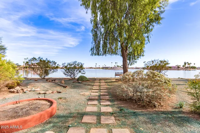a view of a yard with a tree