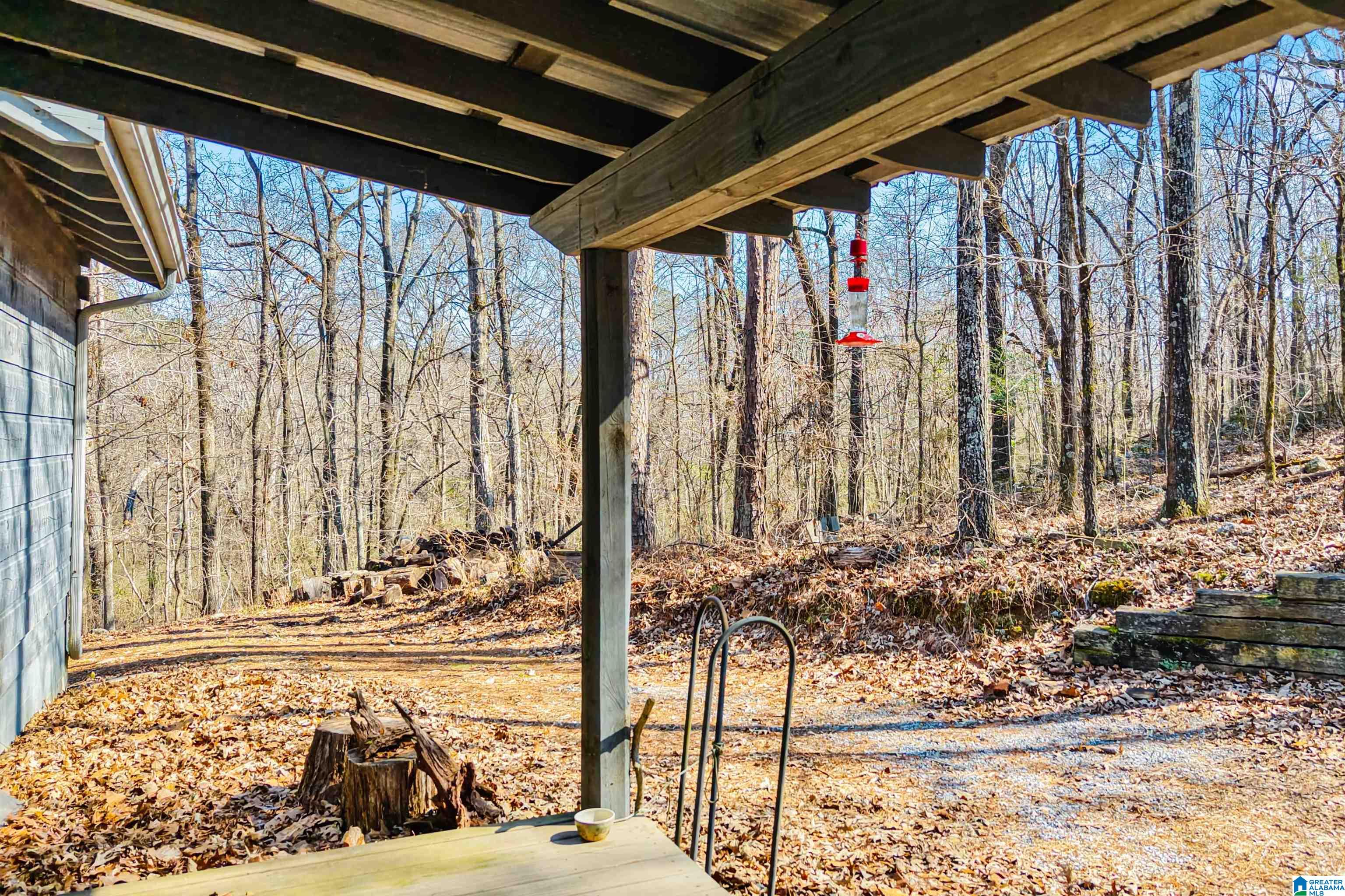 266 Davis Acres Drive Alpine, AL 35014 - Photo 49 of 60