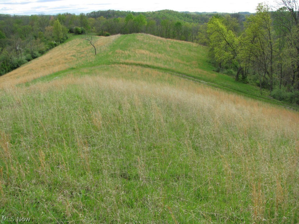 1767 Spruce Creek Road Auburn, WV 26325 - Photo 2 of 18