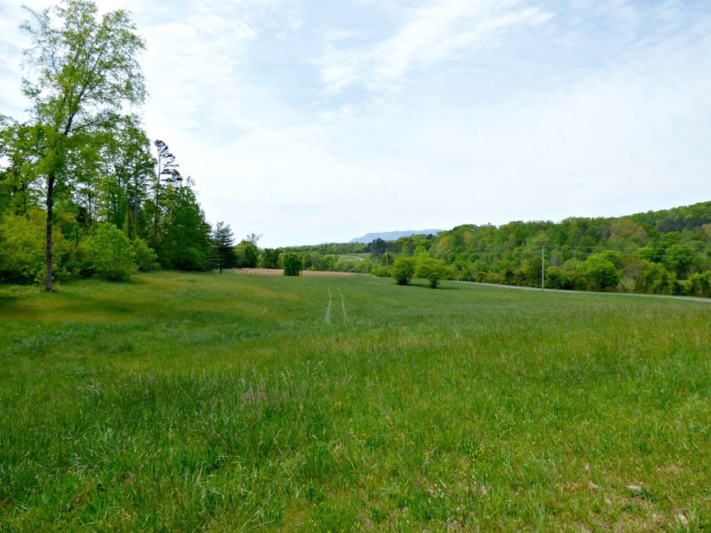 58 Camellia Road Newport, TN 37821 - Photo 3 of 13 Gallery Image 3