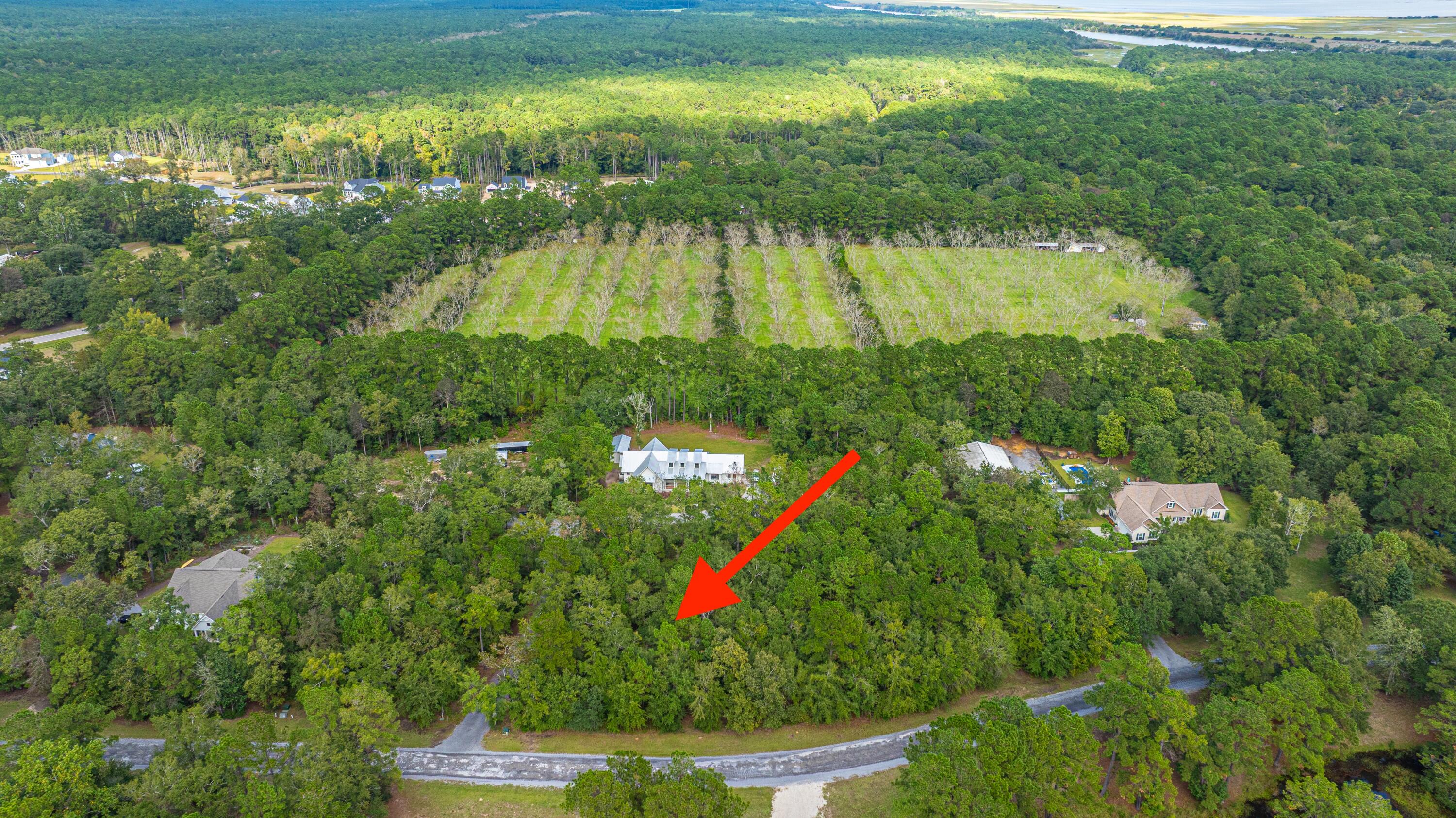 964 Awendaw Lakes Boulevard Awendaw, SC 29429 - Photo 17 of 31 964AwendawLakesBlvd017