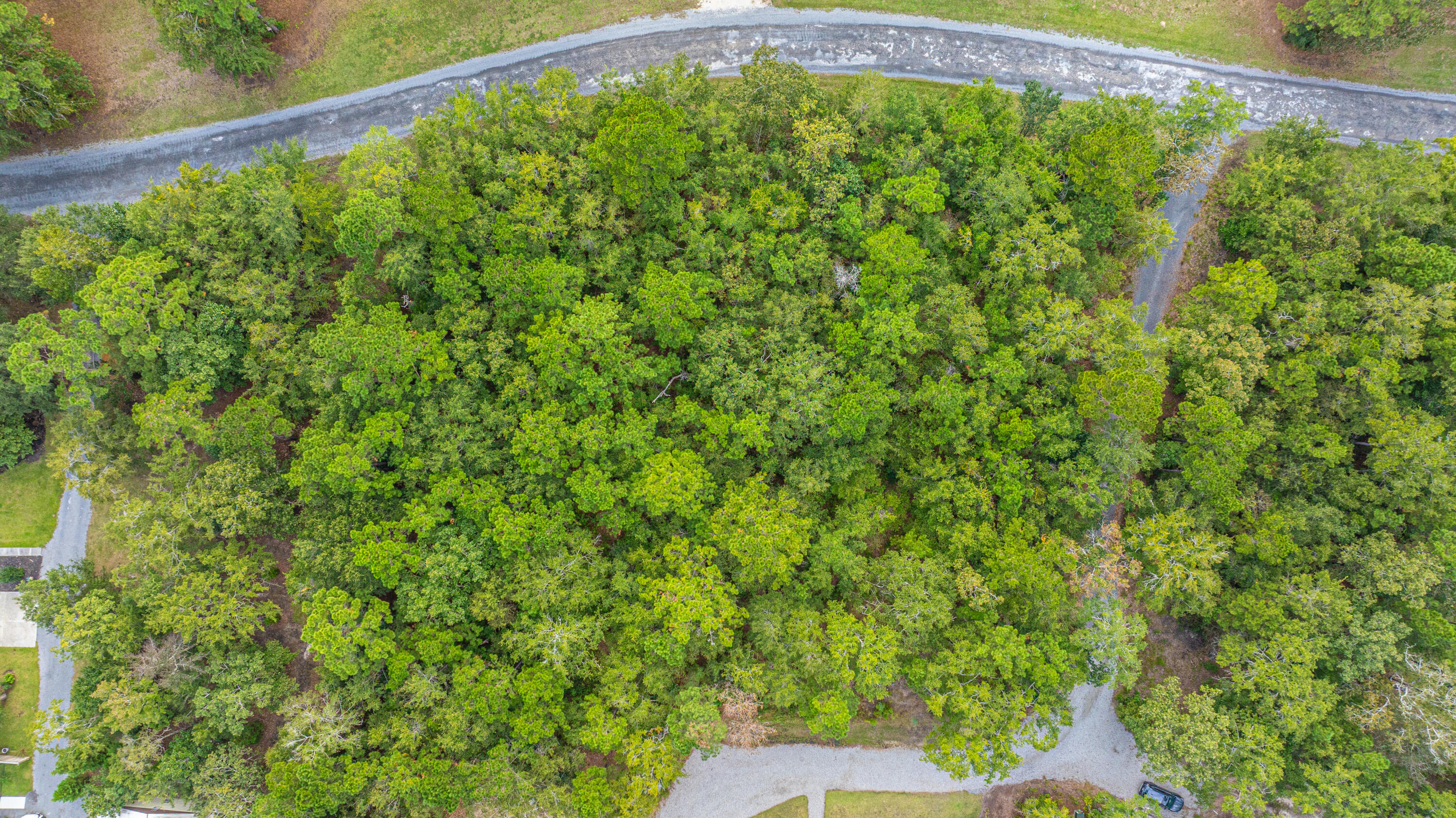 964 Awendaw Lakes Boulevard Awendaw, SC 29429 - Photo 28 of 31 964AwendawLakesBlvd028