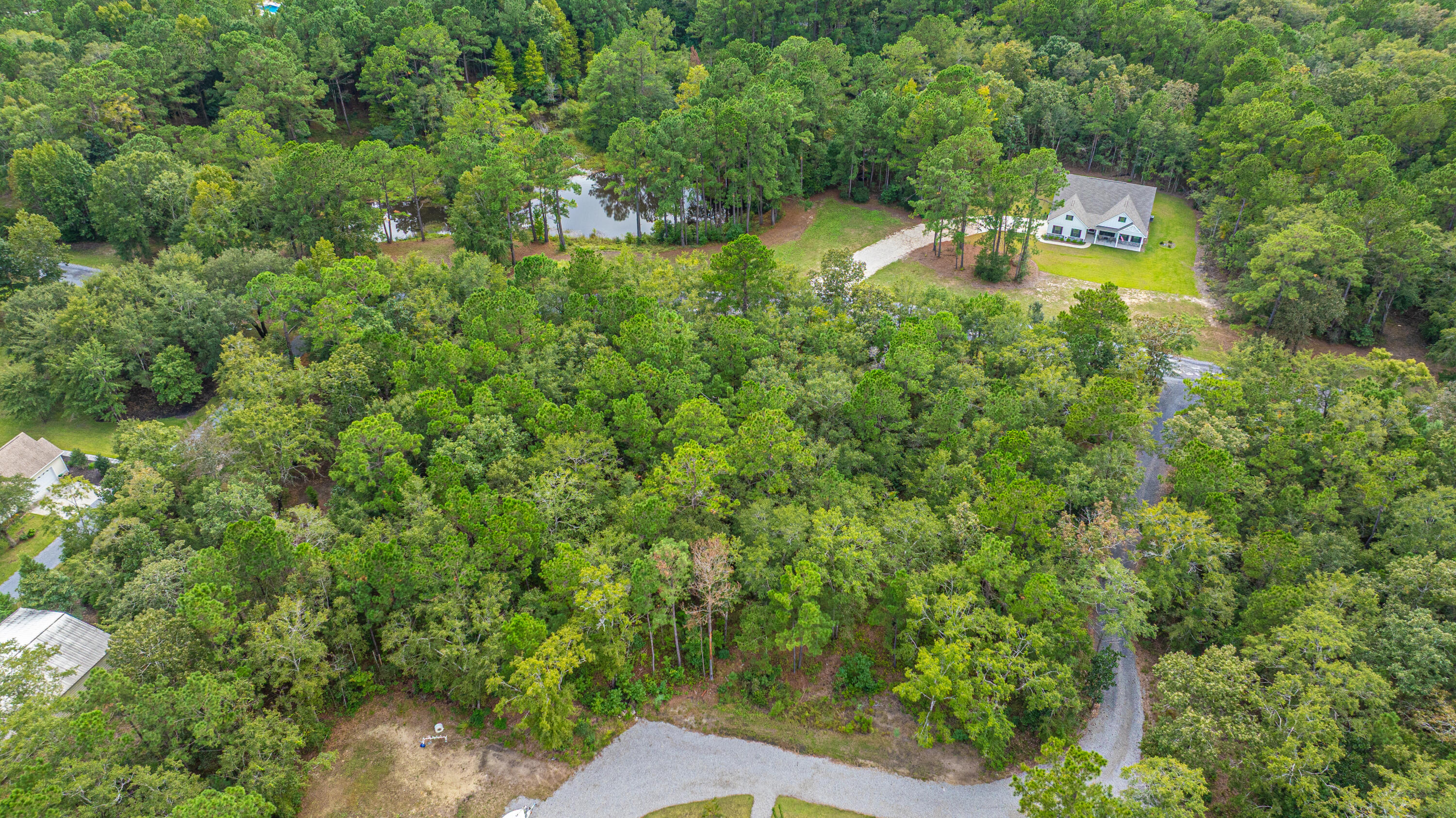 964 Awendaw Lakes Boulevard Awendaw, SC 29429 - Photo 4 of 31 964AwendawLakesBlvd004