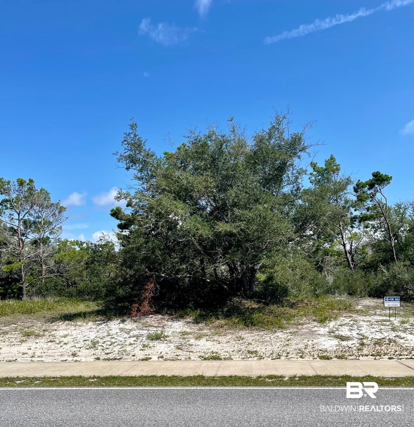 Lot 91 River Road Orange Beach, AL 36561 - Photo 3 of 10