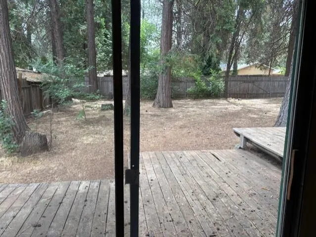 a view of backyard with tree