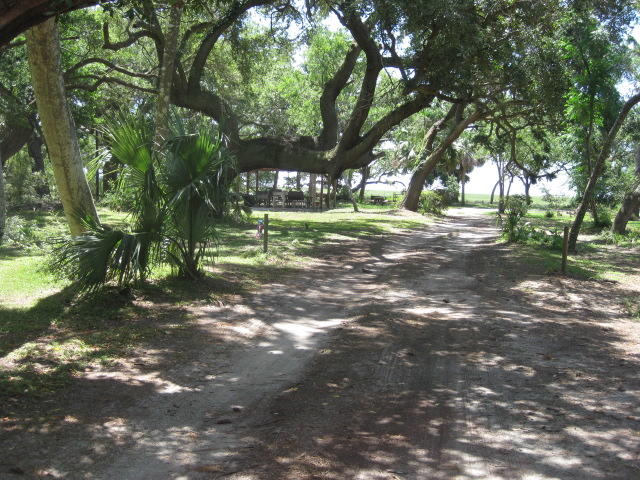 1199 Framptons Inlet Road Edisto Island, SC 29438 - Photo 13 of 59 1199 Frampton Inlet (13)