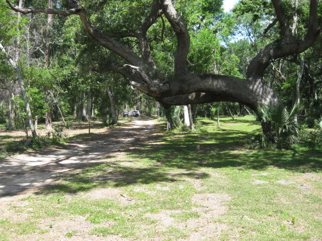 1199 Framptons Inlet Road Edisto Island, SC 29438 - Photo 15 of 59 1199 Frampton Inlet (15)
