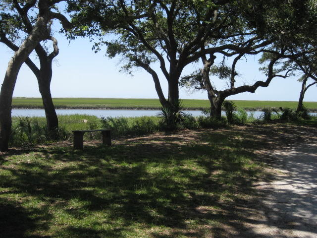 1199 Framptons Inlet Road Edisto Island, SC 29438 - Photo 16 of 59 1199 Frampton Inlet (16)