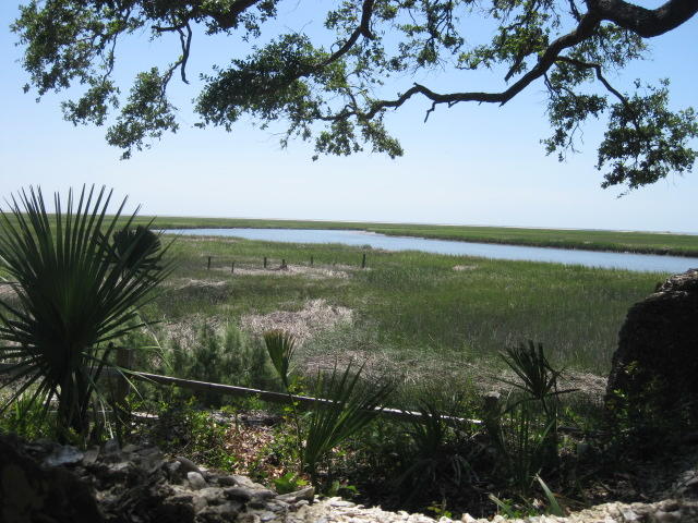 1199 Framptons Inlet Road Edisto Island, SC 29438 - Photo 19 of 59 1199 Frampton Inlet (19)