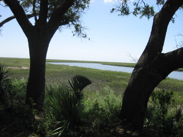 1199 Framptons Inlet Road Edisto Island, SC 29438 - Photo 24 of 59 1199 Frampton Inlet (24)