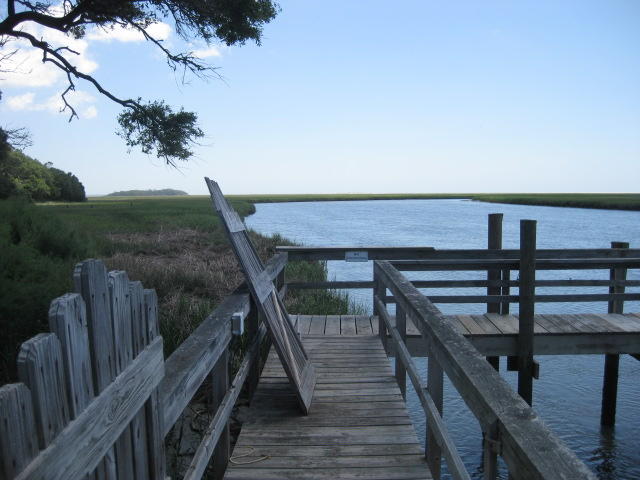 1199 Framptons Inlet Road Edisto Island, SC 29438 - Photo 33 of 59 1199 Frampton Inlet (34)