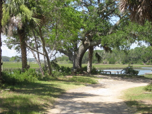 1199 Framptons Inlet Road Edisto Island, SC 29438 - Photo 9 of 59 1199 Frampton Inlet (9)