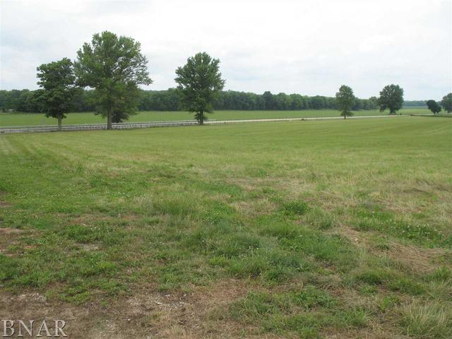 3609 East Road Clinton, IL 61727 - Photo 14 of 43
