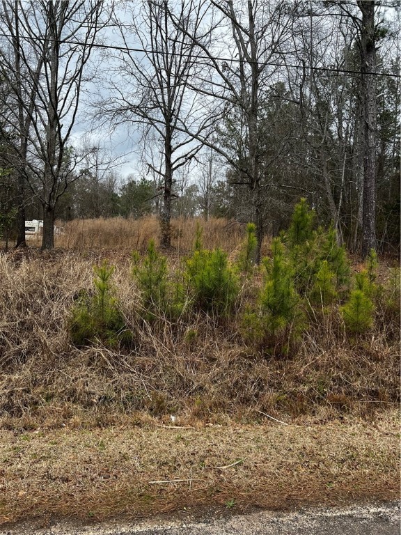 900 Little Mountain Road Anderson, SC 29626 - Photo 1 of 2