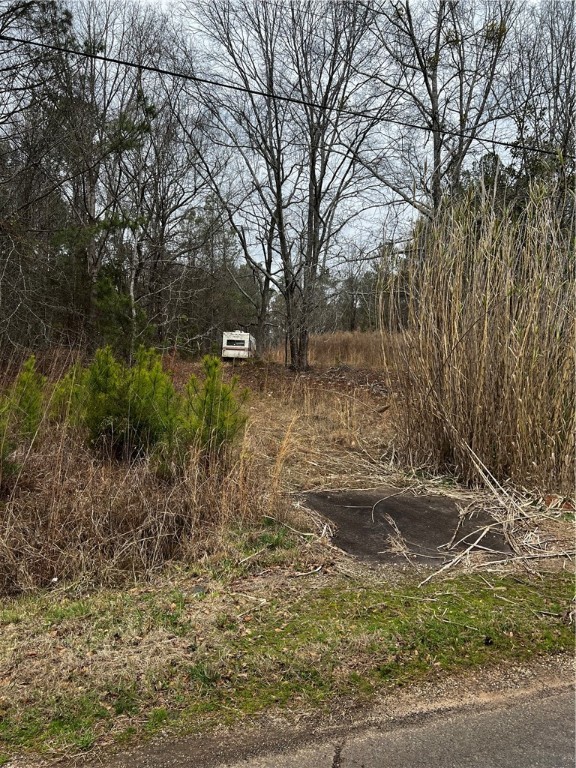 900 Little Mountain Road Anderson, SC 29626 - Photo 2 of 2