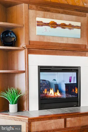 a view of a house with a potted plant