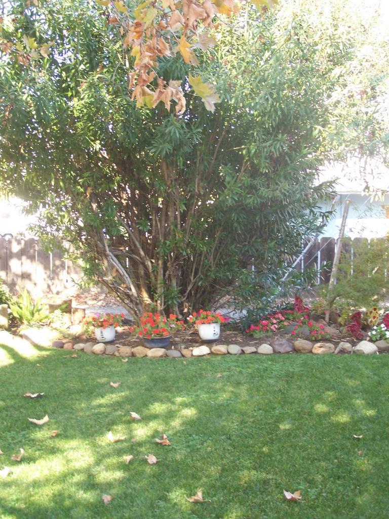 4459 East Bonnyview Road Redding, CA 96001 - Photo 2 of 10 Beautiful front yard