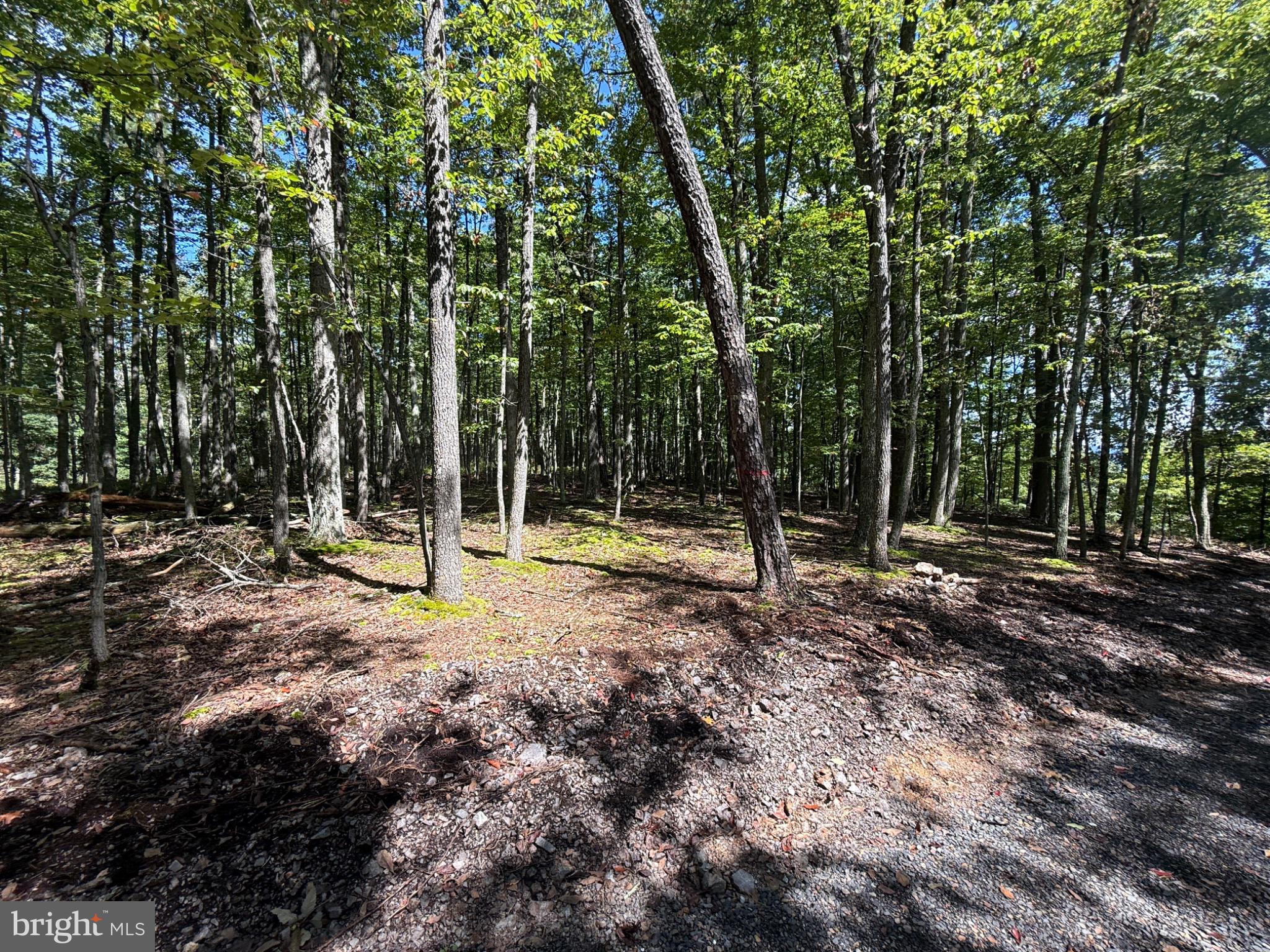 5620 High Knob Road Old Fields, WV 26845 - Photo 14 of 19 Gallery Image 14