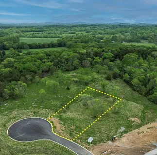 a view of a garden with a sink