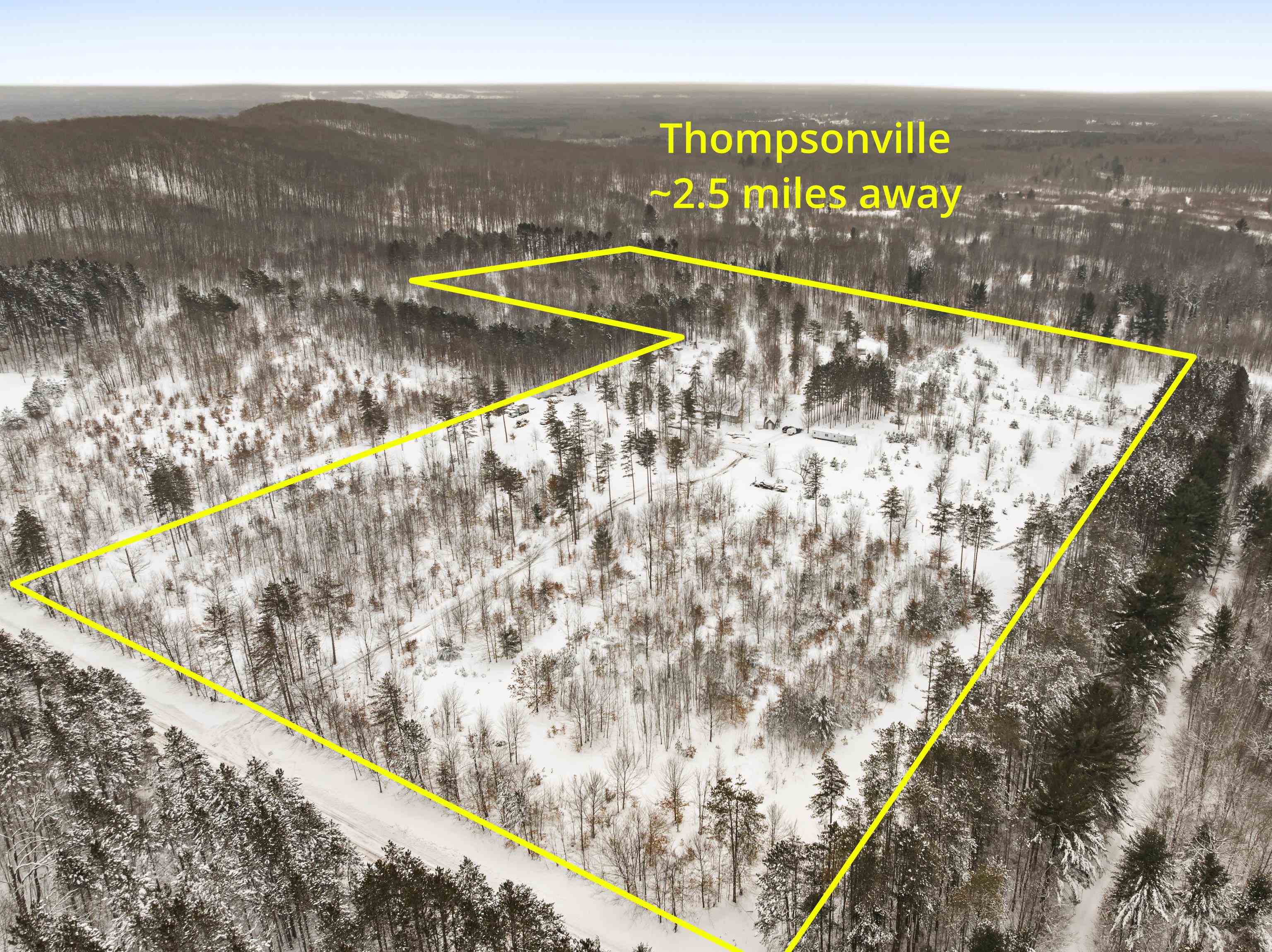 0 Landis Road, Unit LANDIS Thompsonville, MI 49683 - Photo 4 of 9