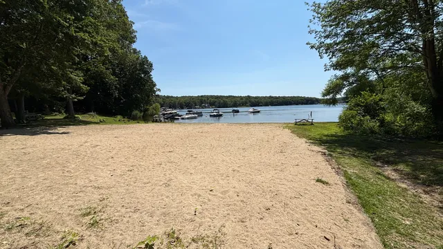 a view of a dry yard with trees