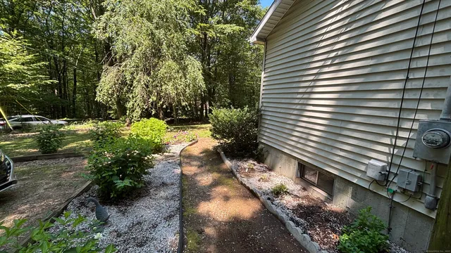 a view of a backyard with plants and large trees
