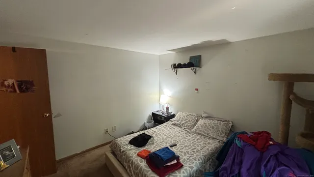 a bedroom with a bed and a closet