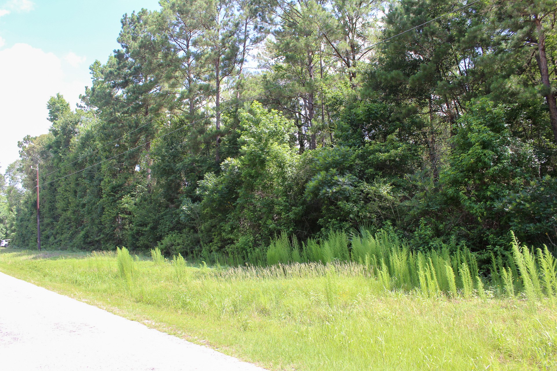 3-b-15-22 Fire Sky Road Huntsville, TX 77340 - Photo 2 of 14 View of front of lot