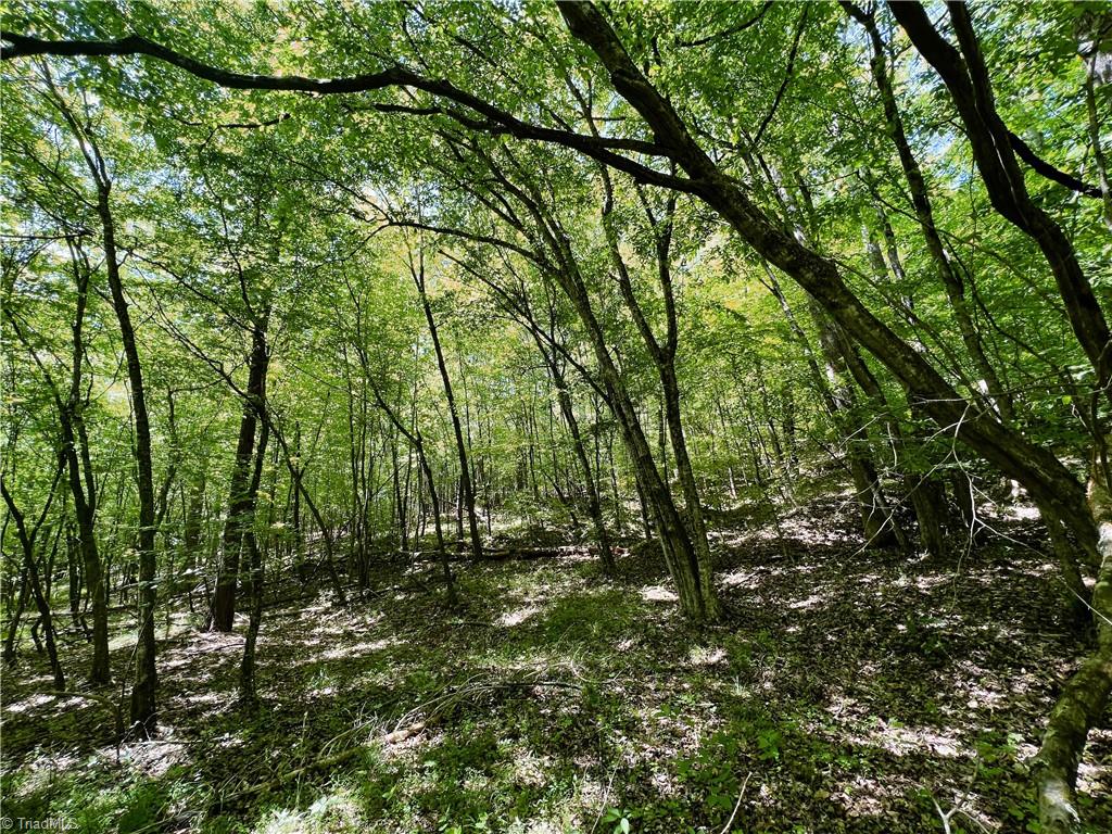 15.34 Lowe Road Madison, NC 27025 - Photo 11 of 36