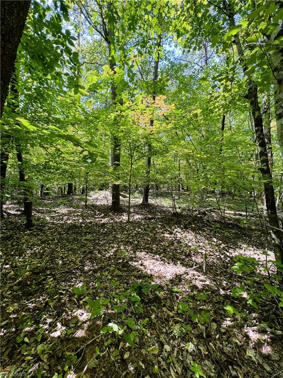 15.34 Lowe Road Madison, NC 27025 - Photo 12 of 36