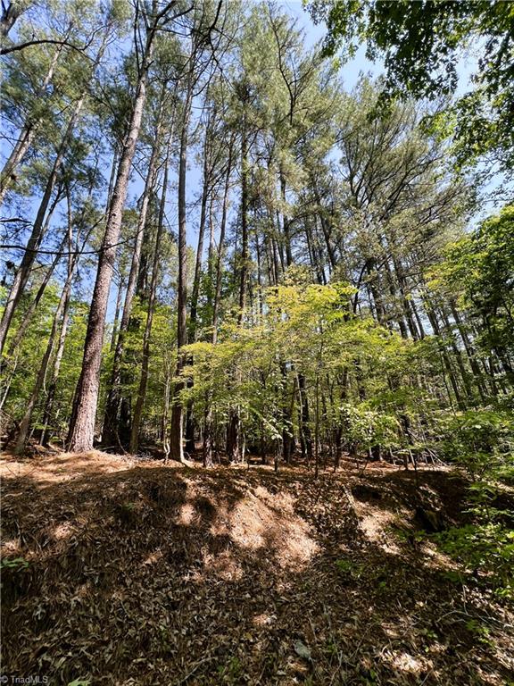 15.34 Lowe Road Madison, NC 27025 - Photo 18 of 36