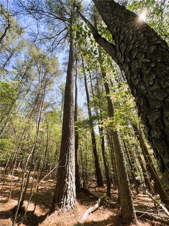 15.34 Lowe Road Madison, NC 27025 - Photo 20 of 36