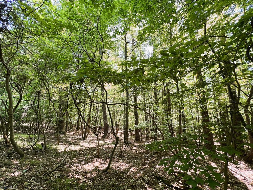 15.34 Lowe Road Madison, NC 27025 - Photo 21 of 36