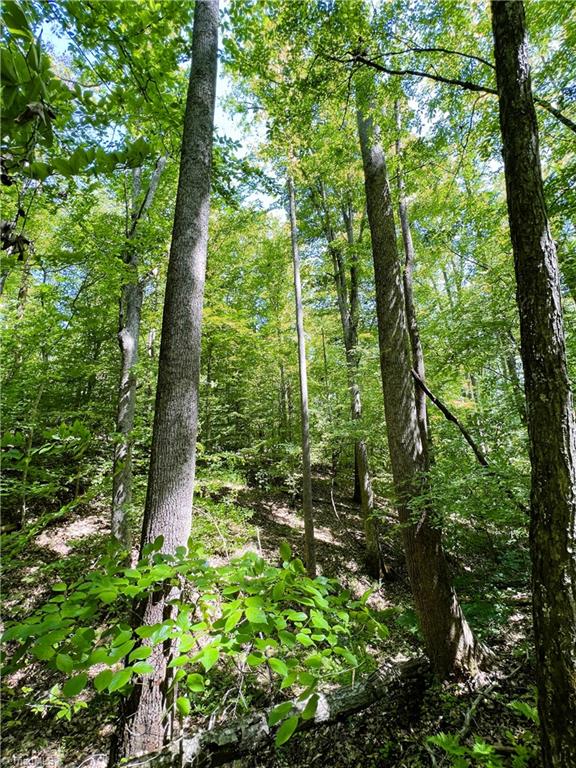 15.34 Lowe Road Madison, NC 27025 - Photo 22 of 36