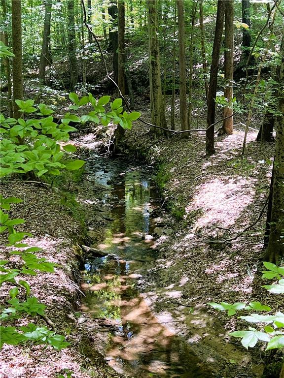 15.34 Lowe Road Madison, NC 27025 - Photo 28 of 36