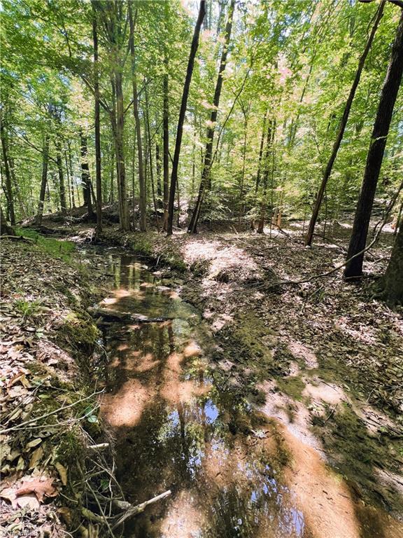 15.34 Lowe Road Madison, NC 27025 - Photo 29 of 36