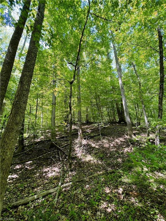 15.34 Lowe Road Madison, NC 27025 - Photo 36 of 36