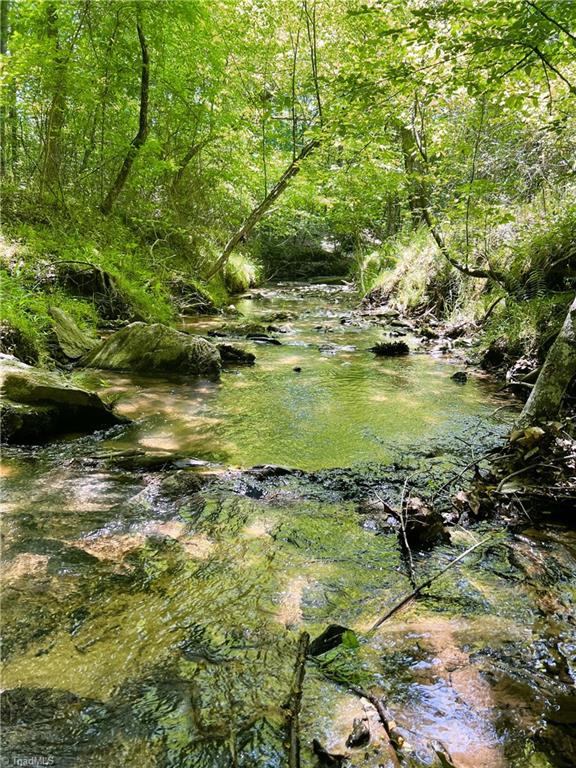 15.34 Lowe Road Madison, NC 27025 - Photo 10 of 36