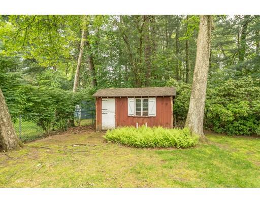 117 Woodland Road Springfield, MA 01129 - Photo 3 of 30 a view of a backyard