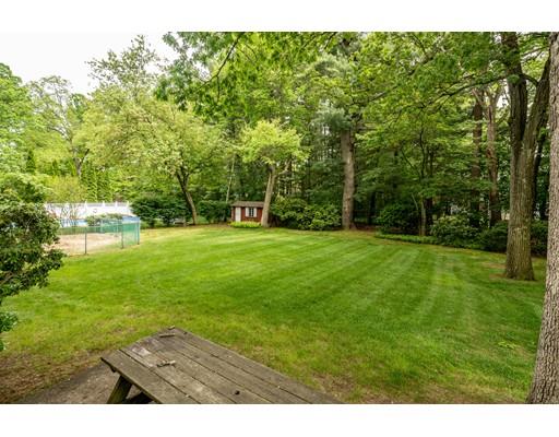 117 Woodland Road Springfield, MA 01129 - Photo 7 of 30 a view of an outdoor space and a yard